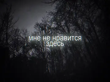 #щп #щитпост #вертушкагазманова #психочума #текстпесни 