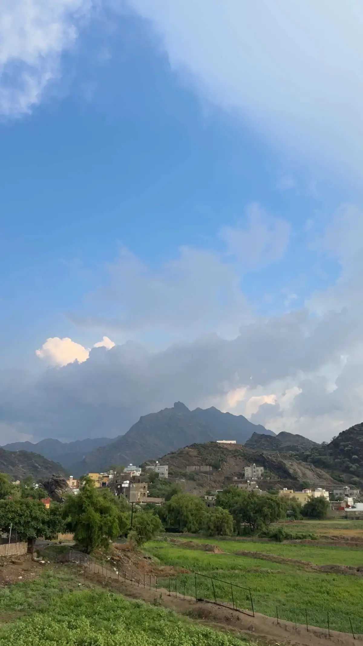 #تهامة_عسير_الان #قنا #عسير #قناحويه #الجنوب 🌲