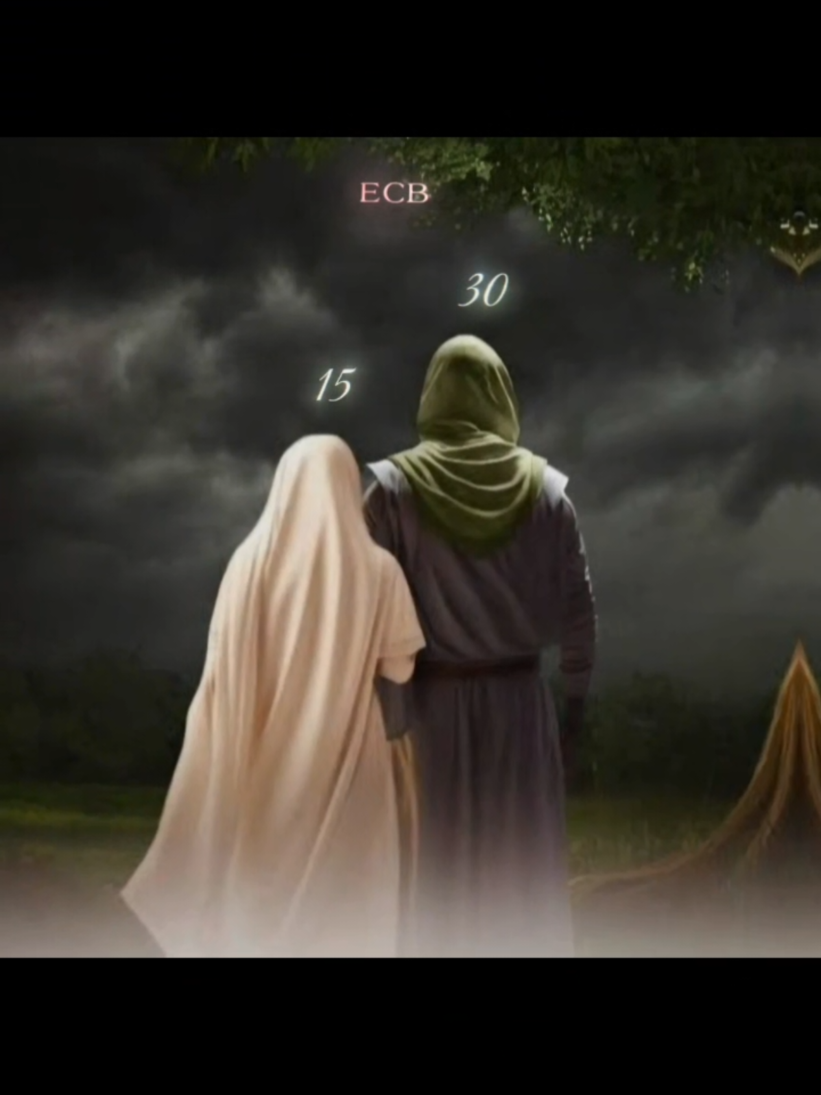 Zahra  . . #imamali #bibifatimazahraص #islamic_video #quran_alkarim #loveislam 