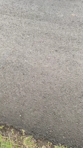 #vario125 #ledoldgank #r17style #fouryou 