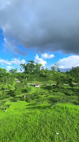 এ যেনো সবুজের এক স্বর্গ রাজ্যে ❤️#sylheti_fua #nature #sythet#sreemangal #foryoupage 