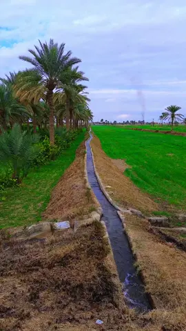 اكسبلور شكد ما تكدرون وأحرف انكليزيه ——————————————- #المصور_غزوان_النمراوي #تصويري #fyp #اعادة_النشر🔃 #ستوريات 