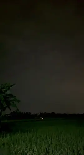 Test hạt hộ khách #CapCut #xuhuong #xh #xhtiktok 