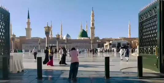 #الحكايه كلها في سيدنا النبيﷺ💚🌿