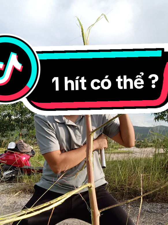 Konoha daishempu #xuhuongtiktok #viralvideo #fyp 