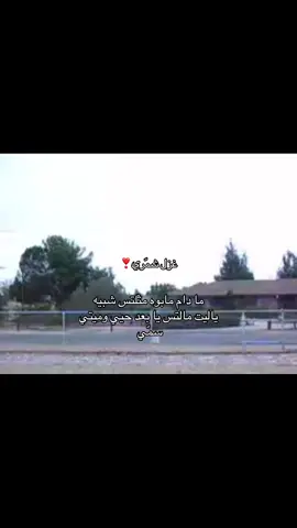 ❣️ #شمر #شمر_الغلباء #غزل #fyp #الطنايا 