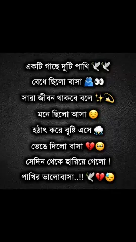 #আমাকে_সাপোর্ট_করো_আমিও_করব💯✅💞🥀 #সবাই_একটু_সাপোর্ট_করবেন_প্লিজ🙏 #কলিজার_টুকরা_রে_আমার💔🥀🥀🔥 #ভালোবাসার_গল্প❤ #জটি❤️🥰 