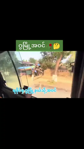 #ရခိုင်tiktok #သာလီစွပါ🙏🙏🙏 