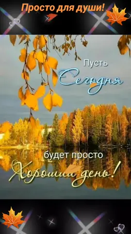 #осень #животные #песнядлядуши #хорошегодня 