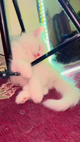 Say mashallah 🥰 