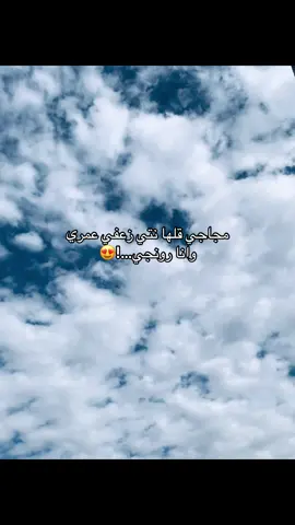 @Cheb Ali Mdjadji oficiel #fyp💔 