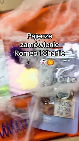 zamówienie dla kota, koci sklep, karma dla kota, smaczki dla kota, tanie jedzenie dla kota, internetowy koci sklep, kocie zamówienie, kocia karma 