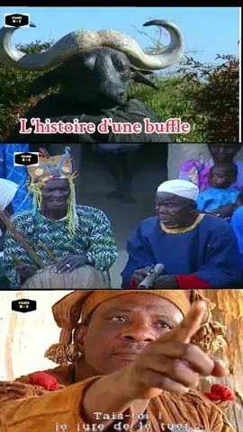 #vissibilité #😂😂😂😂😂 