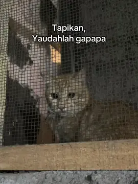🙃#harusfyp #masukberanda #fypage #storywa #xybca 