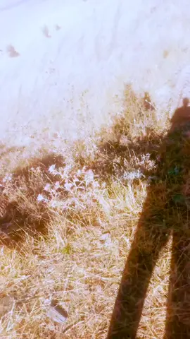 #keşfetteyizzz #muş #ovası @Mahir Güler 