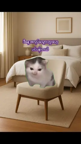 အလုပ်မလုပ်ချင်ဘူး ပိုက်ဆံဘဲရချင်တယ်🤣😆#မြောင်မြောင်မြောင်😻😻😻 #ဟာသလေးအားပေးပါအုံး🤣🤣🤣😅 #fyp #foryoupageofficiall #creatorsearchinsights 