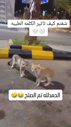 #مشاهدة #مشاهدة_ممتعة_للجميع🔥 #مشاهدة_ممتعة #مشاهدة_التيك_توك #مشاهدة_ممتعة_للجميع #NumberOne_Rule #نصائح_مفيدة #نصيحة_اليوم 