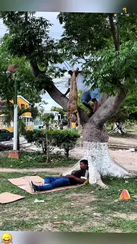 No One Expected This Prank… LOL! 😂#funny #funnyvideos #prank #funnytiktok #crazyprank #bushmanprank #funnybushman #bushman #bushmanpranks  