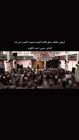 #احمد_الفتلاوي #النجف_الاشرف 