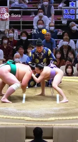 女性の関取#相撲#AI