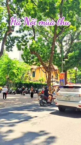 Hà Nội đẹp nhất mùa thu, mùa thu đẹp nhất tháng Mười. Bạn đã có dịp trải nghiệm mùa thu Hà Nội tại con đường thơ nhất Hà Nội chưa?🥰 #langthangduongpho #langthangduongphohanoi #hanoi #xuhuongtiktok #viral 