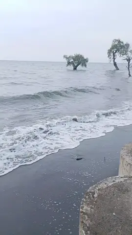 Pantai terlihat tenang tapi tidak dngn ombaknya,begitu jg dngn manusia trlihat tenang tp tidak dengan pikirannya#fypppp donk