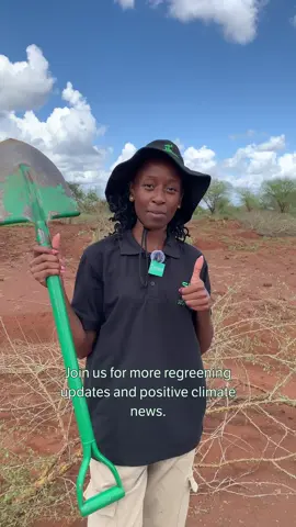 Who actually does the digging at #Justdiggit? 🤔 Join Virginia as she explains the benefits of involving local communities in the #regreening process and how spreading awareness about the regreening methods ensures a greener future. 👉 Follow us for more behind-the-scenes moments and a regular dose of climate positivity!