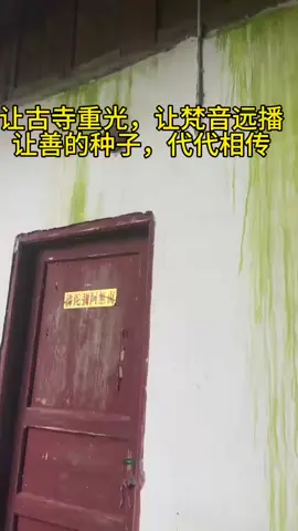 #南无阿弥陀佛 #阿弥陀佛 #佛教 #佛缘 