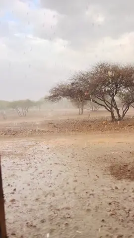 Jawiga manta Weejidow 🌧️❤️#diinkey24 #foryoupage #fyp #viral 