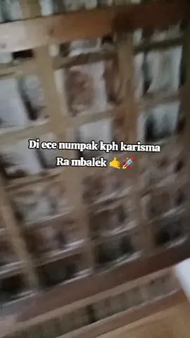 😭😭#kphgank🚀 #bjn #karisma #karismakapoor #solorayastyle Ngawi 