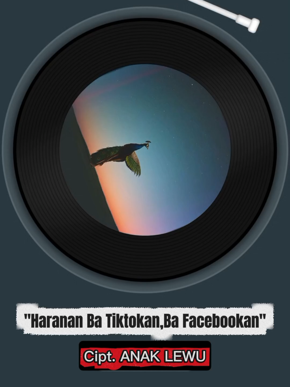 Lagu Bahasa Dayak Ngaju Kalteng- Ba Tiktokan, Ba Facebookan #trending #videotrending #tiktokviral #viralvideo #bollywood 