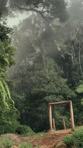 #gunung7kerinci #danaugunungtujuh #kerinci 