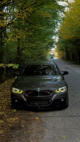 #bmw #f31 #f30 #msport #mperformance 