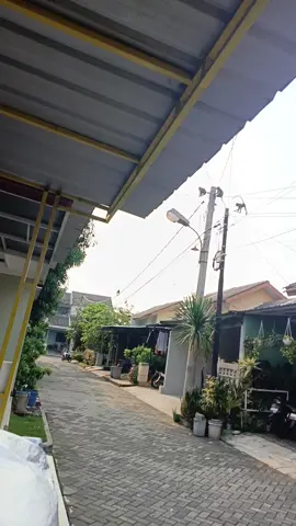 udah nyampe perumahan graha pondok petir dong 😓 #monyettangsel #monyetpuspitek #monyetberkeliaran 