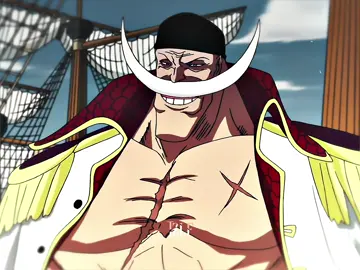 وين ماتروح تحصله في ظهرك🫡👑 - - #onepiece #godvalley #marineford #المحزم_المليان❤️👌 #whitebeard 