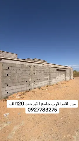 #وادي #نوفلين_طرابلس_بن_عاشور_جرابه #طرابلس_ليبيا_بنغازي_طبرق_درنه_زاويه♥️🇱🇾 #ورفله_طرابلس_بنغازي_مصراته_ليبيا #شعبي 