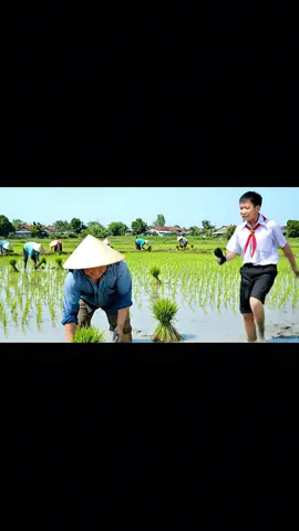 #tiktokshop #sacnhanh 