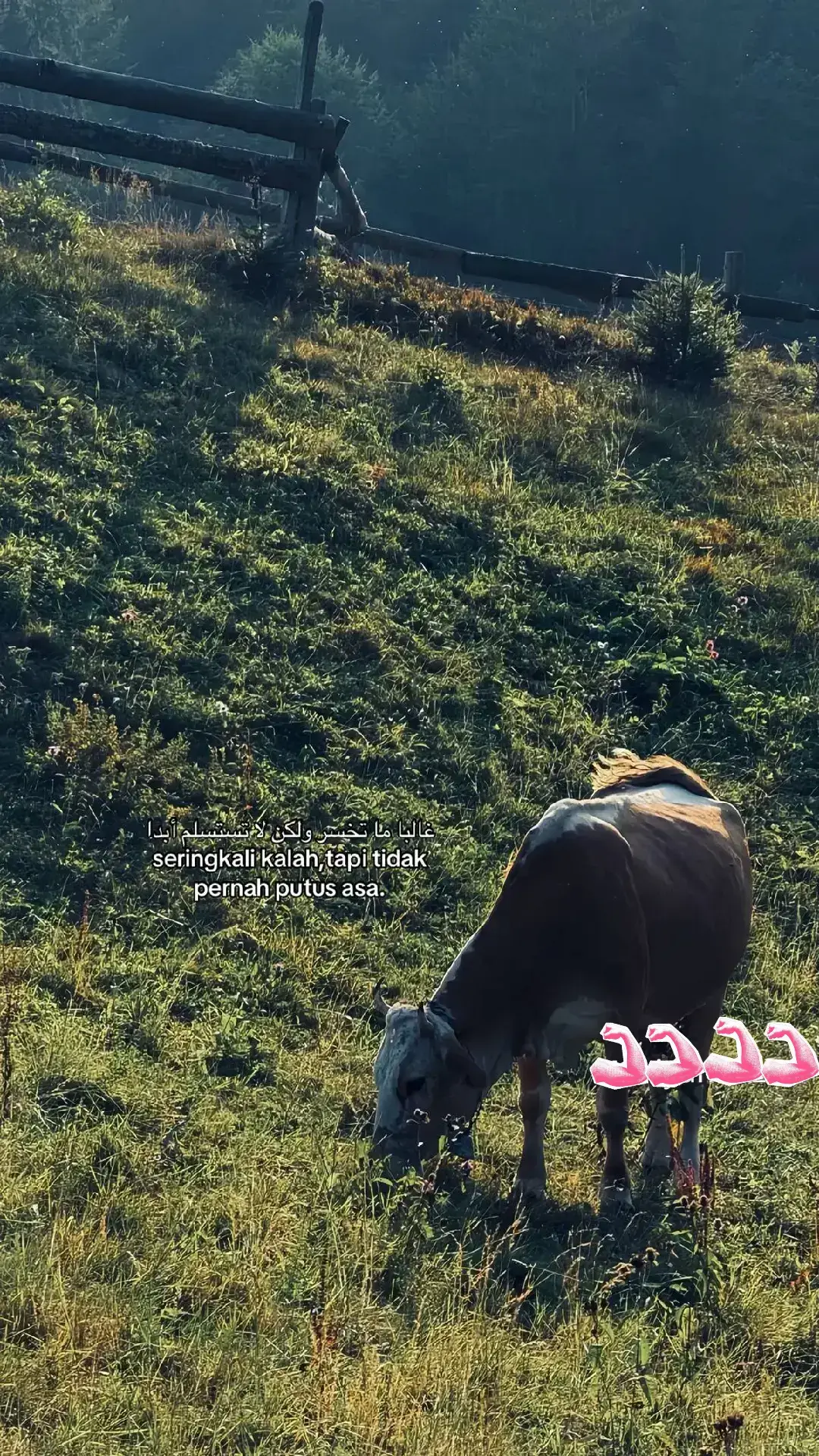 #fypage #bismillahfyp #fyppppppppppppppppppppppp #futsal #2024 