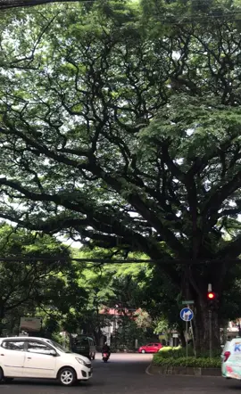 Bandung dengan kesejukan udara pagi nya! #bandung #bandungaesthetic #bandungvibes 