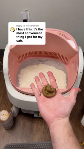 Replying to @𖣂︎ deals for today only on your petpivot autoscooper #catlitter #litterbox #autoscooper #automaticlitterbox #tiktokshopcreatorpicks 
