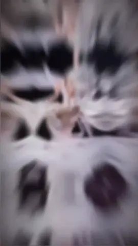 tiêu dao #taplamtho #tienhiep #thohay #tiktok #chill 