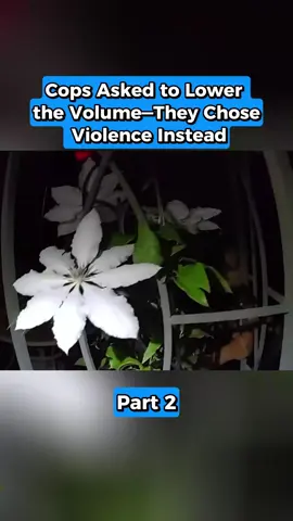#cops #bodycam #fyp #usa🇺🇸 #police 