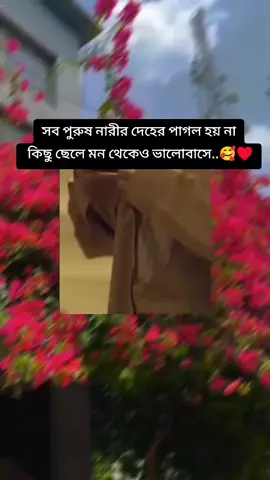 #songlyrics #tiktokviral #লাইক_দিবেন_প্লিজ 