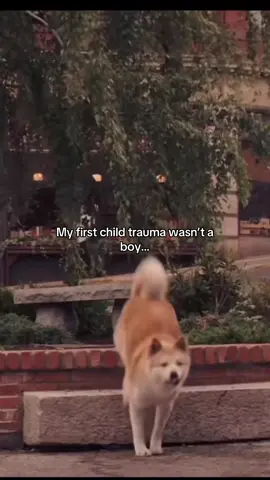 #HACHIKO #trauma #hachiko #рекомендации #fypシ゚viral 