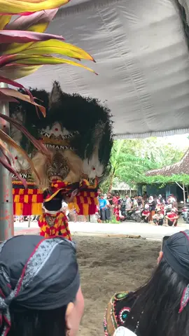 🦚#reogponorogo #ponorogo24jam 