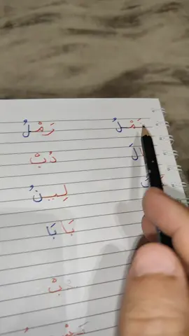 قراءه كلمات بها مقطع ساكن من حروف المجموعه الاولى اول ابتدائي