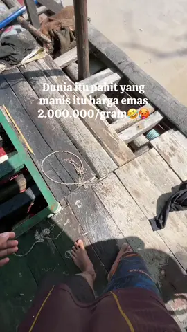 Makin gacor aja ini harga😂,Di tempat kalian harga berapa #tambangsedot#fypp #kalimantantengah #lantingsedot #storytambang 