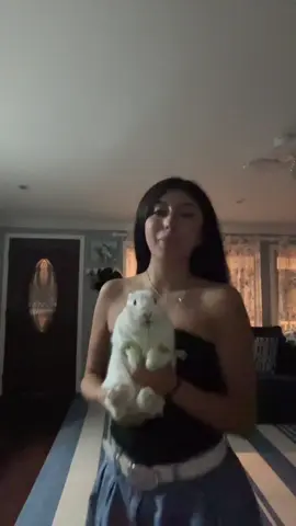 #bunbun #bunny #rabbitsoftiktok #bunnytok 