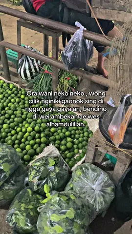 Monggo dilarisi mumpung larang😁 #fyp #fypシ゚ #4u #sumbergodongjeruk #sayurfresh 