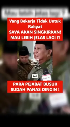 Disaat Macan Asia sudah menunjukkan taringnya, itu artinya sudah siap menerkam. Jangan main - main !